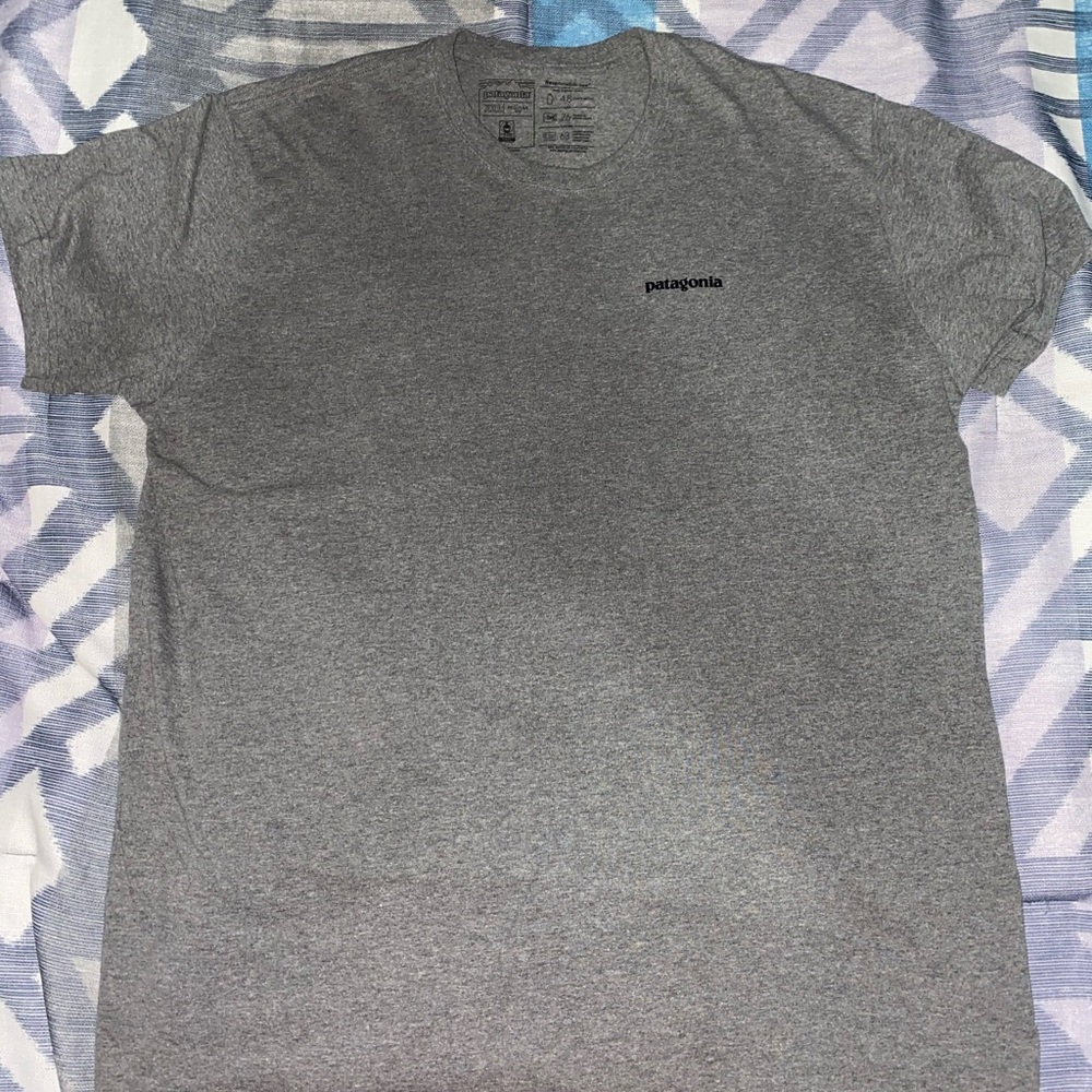 Patagonia T Shirt